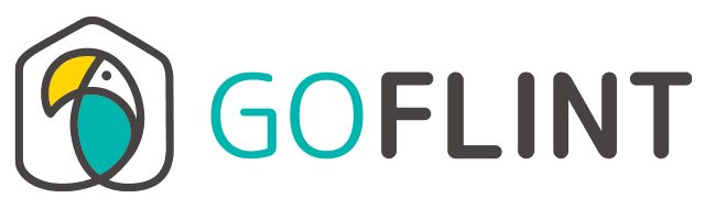 GoFlint